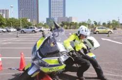  板球季后赛，北城铁骑队与钱塘海豚队强势横扫，VAR改判成焦点！锋线火力回暖-九博体育平台